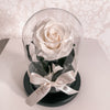 Forever Rose Dome - Mini - Forever Fleurs