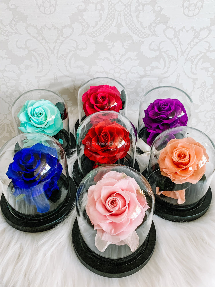 Forever Rose Dome - Baby - Forever Fleurs