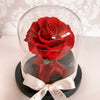 Forever Rose Dome - Baby - Forever Fleurs