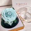 Forever Rose Dome - Baby - Forever Fleurs