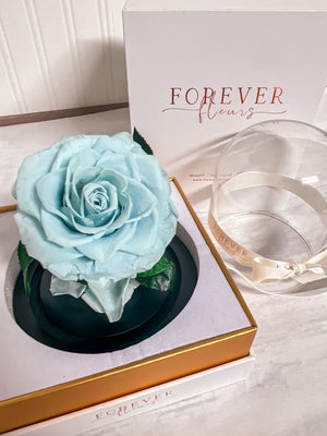 Forever Rose Dome - Baby - Forever Fleurs