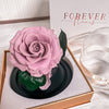 Forever Rose Dome - Baby - Forever Fleurs