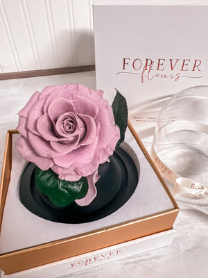 Forever Rose Dome - Baby - Forever Fleurs