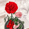 Forever Rose Dome - Grand - Forever Fleurs