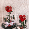 Forever Rose Dome - Heart - Forever Fleurs