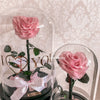 Forever Rose Dome - Heart - Forever Fleurs