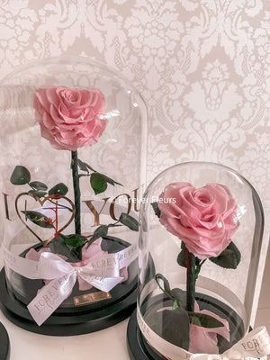 Forever Rose Dome - Heart - Forever Fleurs