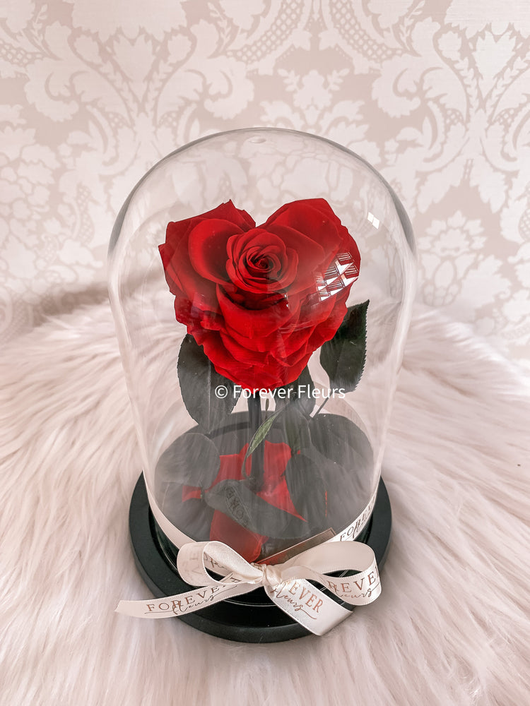 Forever Rose Dome - Heart - Forever Fleurs