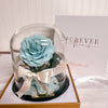 Forever Rose Dome - Midi - Forever Fleurs