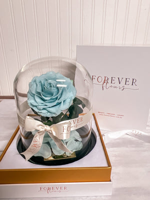 Forever Rose Dome - Midi - Forever Fleurs