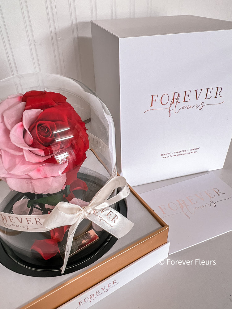 Forever Rose Dome - Midi - Forever Fleurs