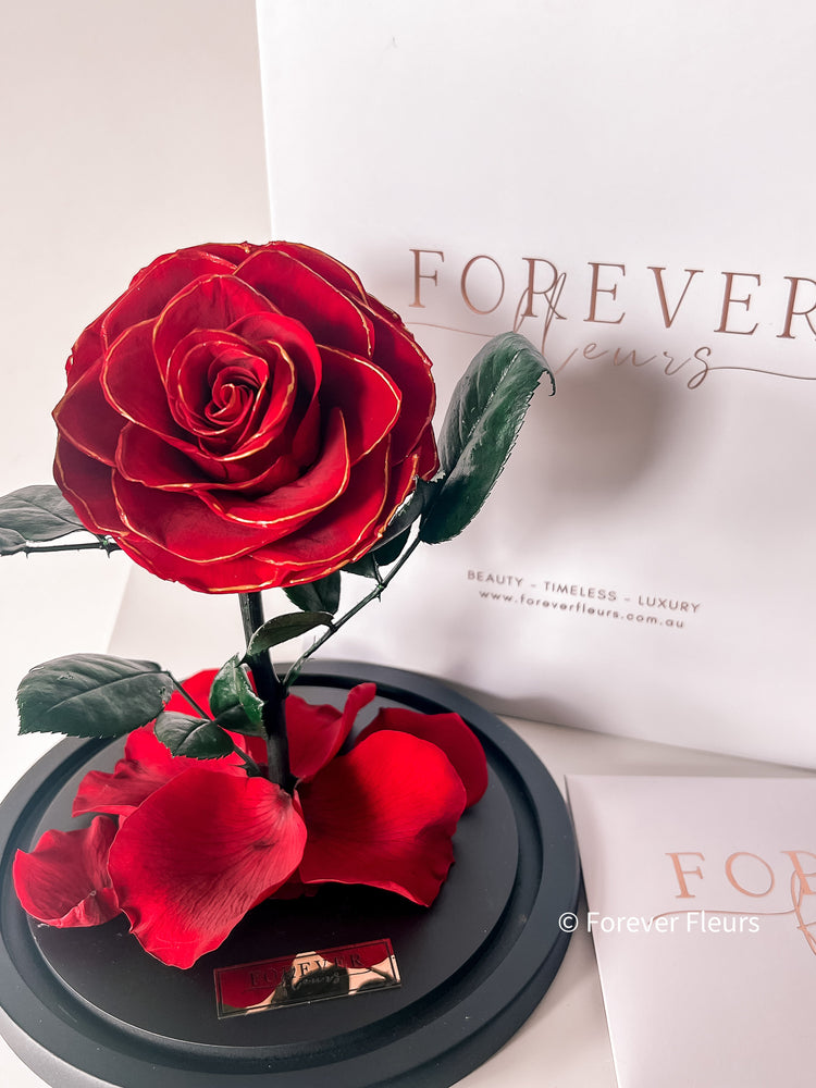 Forever Rose Dome - Midi - Forever Fleurs