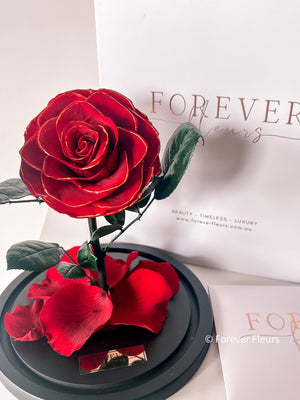 Forever Rose Dome - Midi