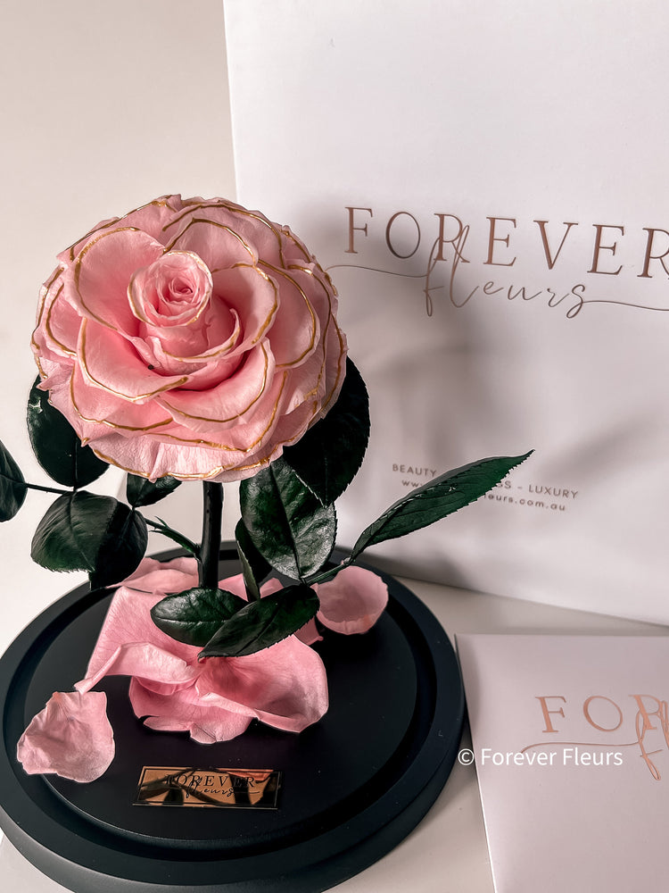 NEW Forever Rose Dome - Midi - Forever Fleurs
