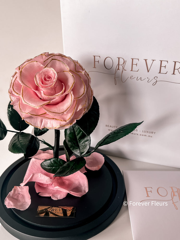 Forever Rose Dome - Midi