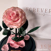 Forever Rose Dome - Midi - Forever Fleurs