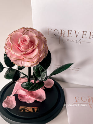 NEW Forever Rose Dome - Midi - Forever Fleurs