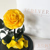 Forever Rose Dome - Midi - Forever Fleurs