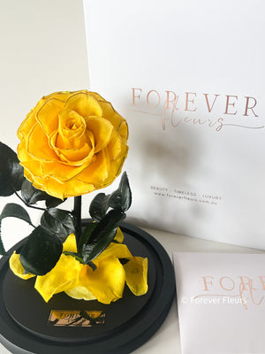 Forever Rose Dome - Midi - Forever Fleurs