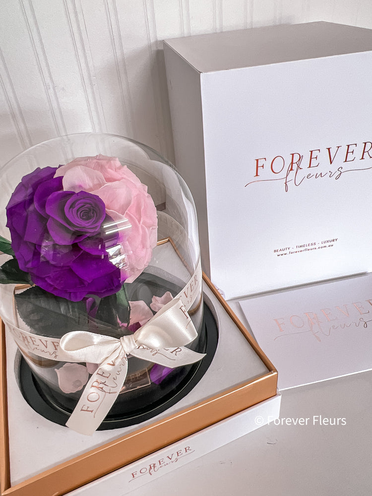 Forever Rose Dome - Midi - Forever Fleurs