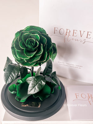 Forever Rose Dome - Midi - Forever Fleurs