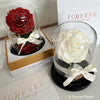 Forever Rose Dome - Mini - Forever Fleurs