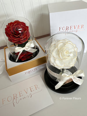 Forever Rose Dome - Mini - Forever Fleurs