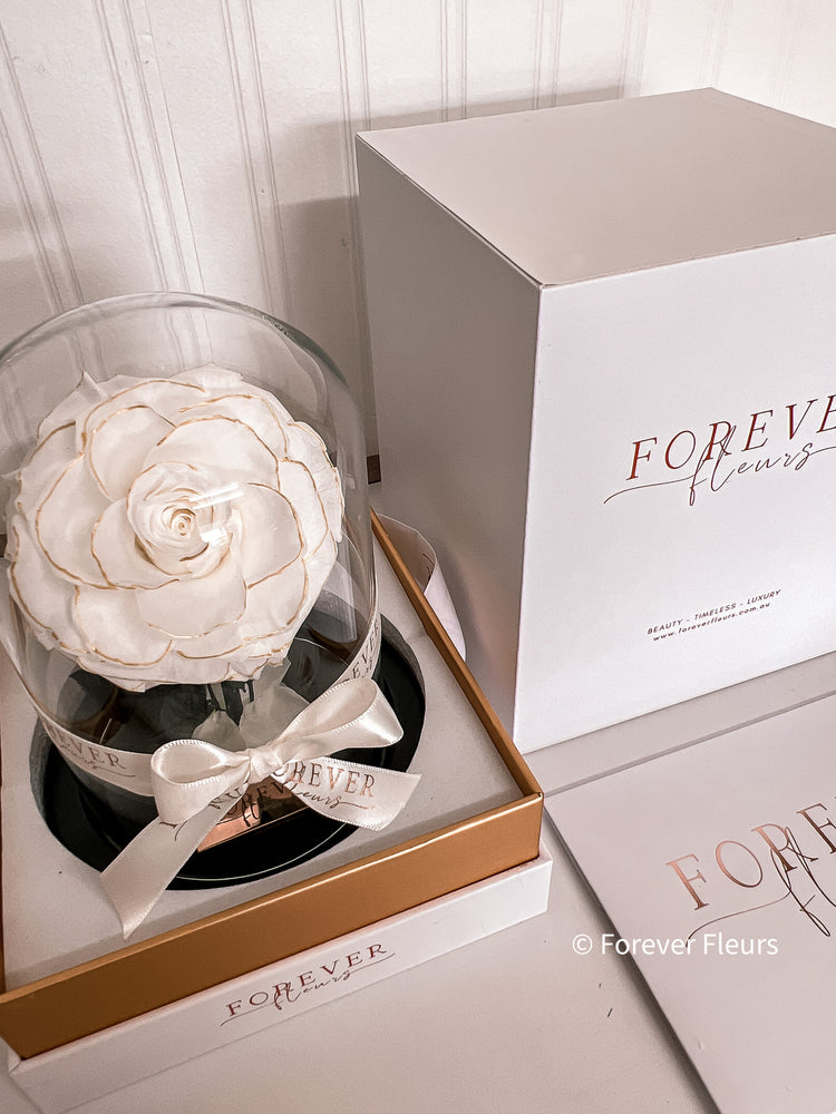 Forever Rose Dome - Mini - Forever Fleurs