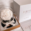 Forever Rose Dome - Mini - Forever Fleurs