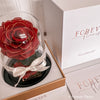 Forever Rose Dome - Mini - Forever Fleurs