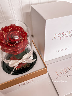 Forever Rose Dome - Mini - Forever Fleurs