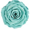 Grand Acrylic Rose Box (FREE GIFT BOX!) - Forever Fleurs