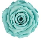 Grand Acrylic Rose Box (FREE GIFT BOX!) - Forever Fleurs