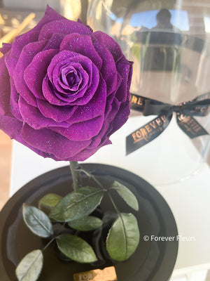 Grand Everlasting Rose - Purple Diamond