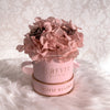 Hydrangea Wanders - Mini Pink Box - Pink - Forever Fleurs