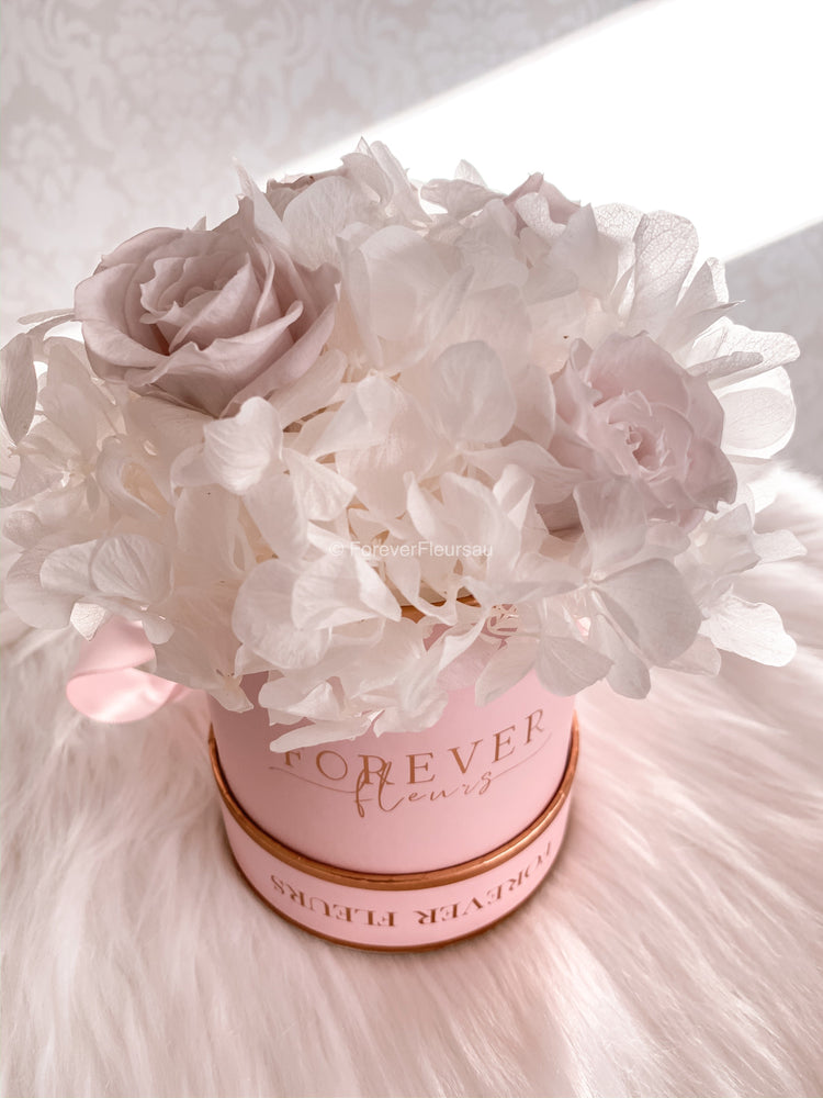 Hydrangea Wanders - Mini Pink Box - White - Forever Fleurs