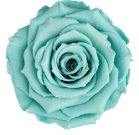 Luxe Acrylic Rose Box (FREE GIFT BOX!) - Forever Fleurs