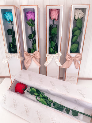 NEW Everlasting Long Stemmed Rose - Forever Fleurs