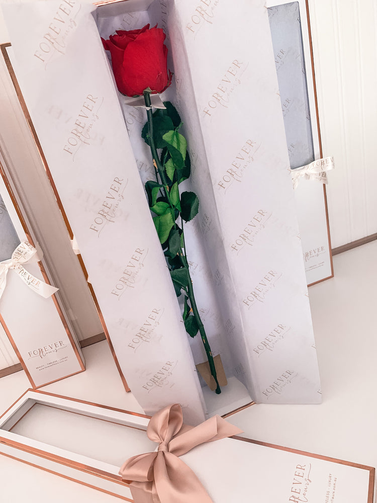 NEW Everlasting Long Stemmed Rose - Forever Fleurs