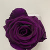 NEW Everlasting Suede Bouquet Box (FREE Gift Box) - Forever Fleurs