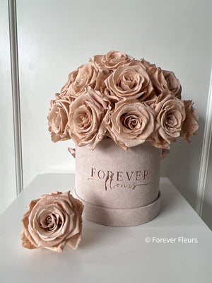 NEW Everlasting Suede Bouquet Box (FREE Gift Box) - Forever Fleurs