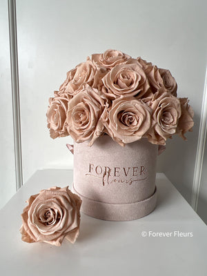 NEW Everlasting Suede Bouquet Box (FREE Gift Box)