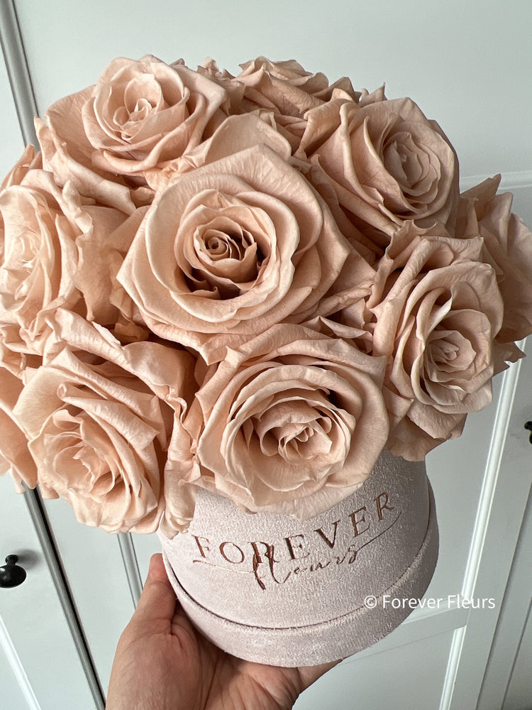 NEW Everlasting Suede Bouquet Box (FREE Gift Box) - Forever Fleurs