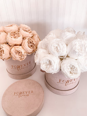 NEW Everlasting Suede Peony Box - Forever Fleurs