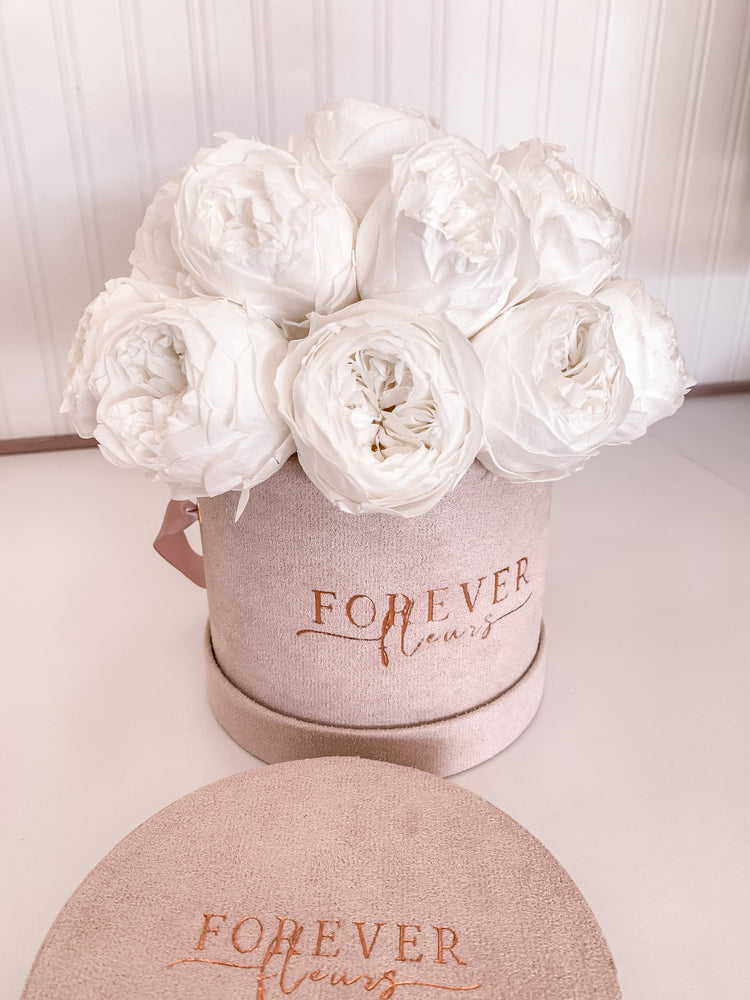 NEW Everlasting Suede Peony Box - Forever Fleurs