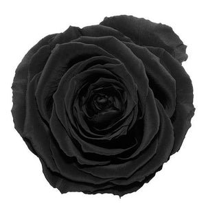 NEW Everlasting Suede Rose Box - Forever Fleurs