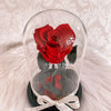 NEW Forever Rose Dome - Midi - Forever Fleurs