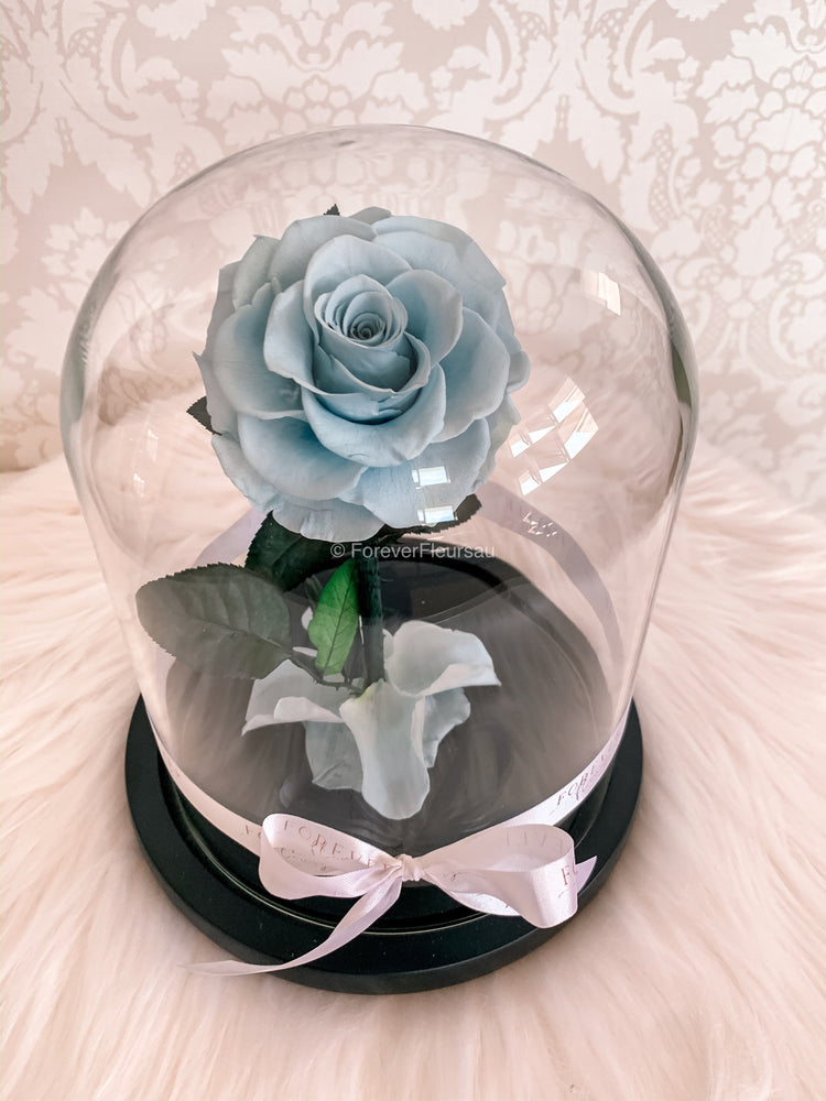 NEW Forever Rose Dome - Midi - Forever Fleurs