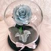 NEW Forever Rose Dome - Midi - Forever Fleurs