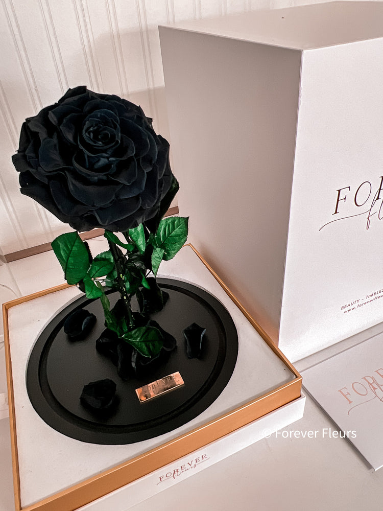 New Grand Everlasting Rose - Black - Forever Fleurs